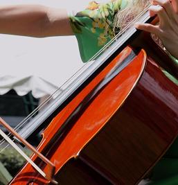 Galeria de fotos de l'Hotel Coma Bella